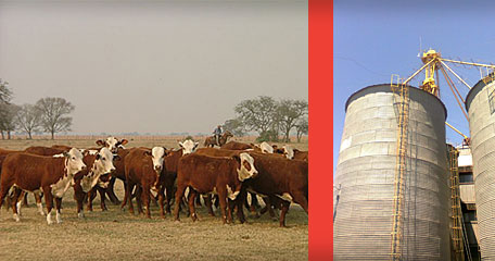 Digitalizaci&oacute;n de documentos