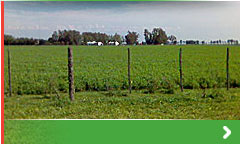 Gesti&oacute;n ambiental